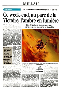 Les articles des journaux