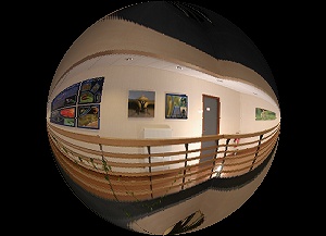 L'expo photos "Fascinants insectes" IRBI