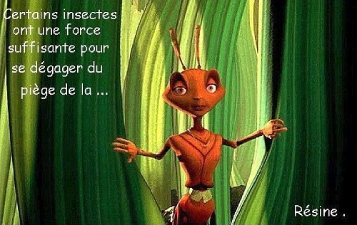 Le critère de la force
n'est pas le seul principe
à considérer...