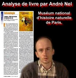 Consulter l'image de l'article publié