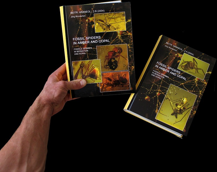 Fossil spiders in amber and copal
par
Jörg Wunderlich